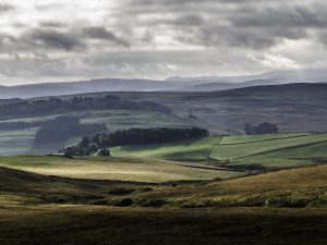 Scottish Highlands Landscape and Habitat