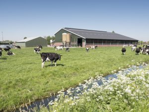 Land Use and Farming in Modern Scotland