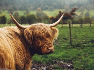 Life as a Female Farmer