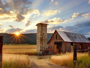 Why Disposable Vapes are Your Best Nicotine Source in Scottish Highland Farms