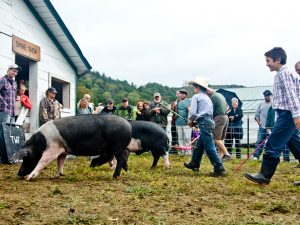 The Royal Highland Show