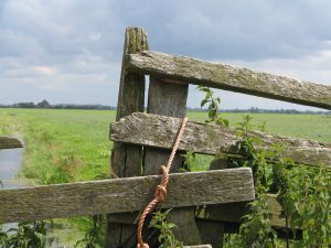 Retiring to a Farm in the Scottish Highlands