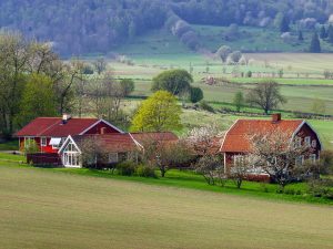 Ardgarry Farm