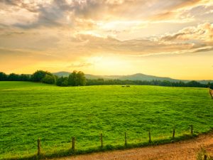 Here’s Why Most Farmers in Scotland Stopped Growing Crops