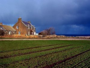 Decorating Scottish Highland Farms With Kilim Rugs